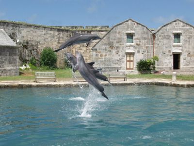 Click to view full size image