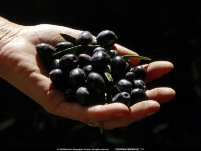 Click to view full size image