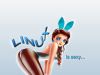 9680-linux_is_sexy_1024x768.png