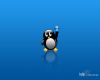 kde_tux2.png