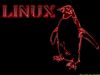 linux_2.jpg