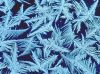 frost1b.jpg