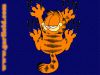 garf2b.jpg