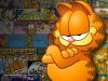 garf5b.jpg