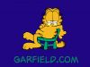 garf6b.jpg