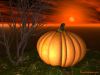 pumpkin1.jpg