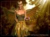 golden-fairy1b.jpg