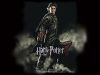 harry3b.jpg