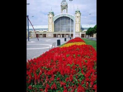 Click to view full size image