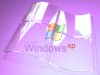 windows_xp_glass_purple.jpg