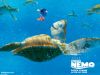 finding_nemo_005_1024.jpg