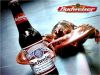 budweiser.jpg