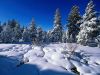 winter-sceneryb.jpg