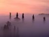 460051_-_morning_mist,_waitomo,_new_zealand.jpg