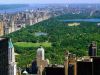 centralpark-newyorkb.jpg