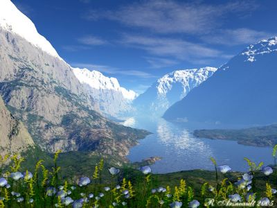 Click to view full size image