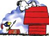 Filename=snoopy_1.jpg
Filesize=70KiB
Dimensions=1024x768
Date added=Jun 22, 2008 snoopy_1.jpg