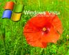 windows_vista_3.jpg