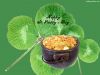 Filename=st_patricks_day_8.jpg
Filesize=248KiB
Dimensions=1024x768
Date added=Jun 20, 2008 st_patricks_day_8.jpg