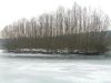Filename=winter_scene_3.jpg
Filesize=414KiB
Dimensions=1600x1200
Date added=Jun 20, 2008 winter_scene_3.jpg