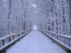 Filename=winter_scene_30.jpg
Filesize=329KiB
Dimensions=1280x960
Date added=Jun 20, 2008 winter_scene_30.jpg