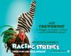 racing_stripes_2.jpg