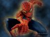 spiderman_13.jpg