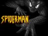 spiderman_8.jpg