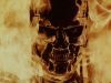 terminator_5.jpg