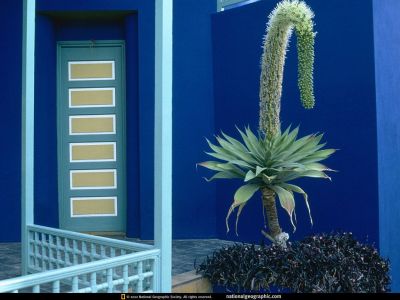 Click to view full size image