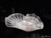 glassshell-768.jpg